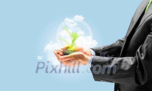 Young green sprout in human hands. Ecology concept Young green sprout in human hands. Ecology concept