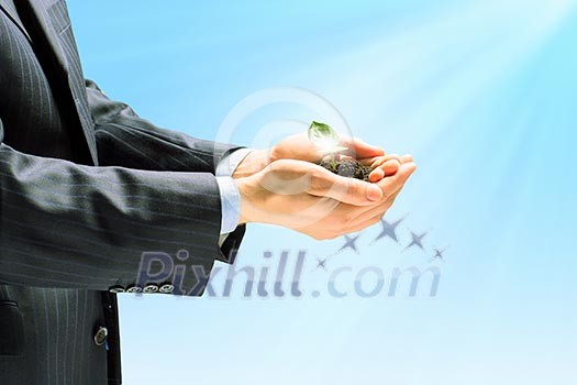 Young green sprout in human hands. Ecology concept Young green sprout in human hands. Ecology concept