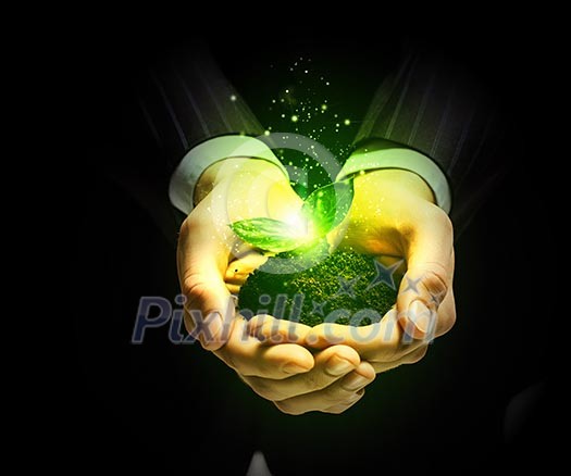 Young green sprout in human hands. Ecology concept