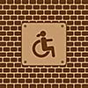 Vector disabled woman restroom sign in the wall 