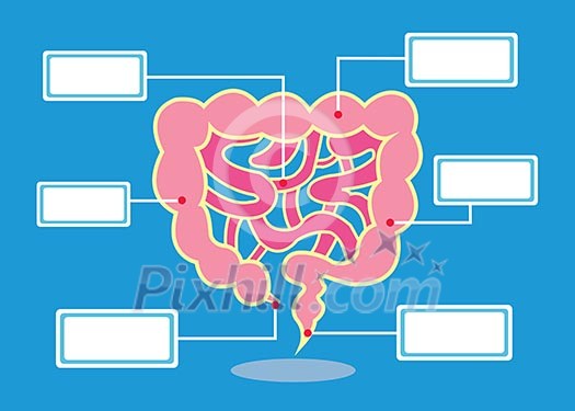 Intestines vector cartoon style for use Intestines vector cartoon style for use