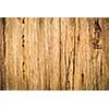 Wood background/texture (color toned image)