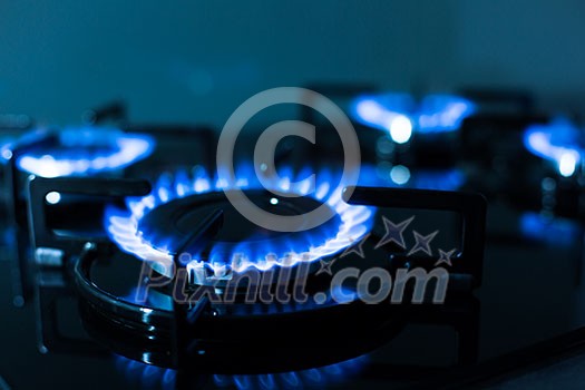 FLames of gas stove (shallow DOF) FLames of gas stove (shallow DOF)