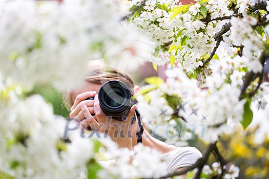 Pretty female photographer outdoors on a lovely spring day, taking pictures of a blossoming tree