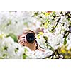 Pretty female photographer outdoors on a lovely spring day, taking pictures of a blossoming tree