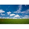 lovely summer field with blue sky