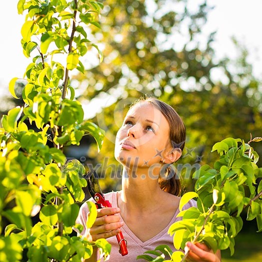 Pretty female gardener taking care of her lovely garden on a lovely spring day - cutting branches, double digging/loosening the soil with a spade Pretty female gardener taking care of her lovely garden on a lovely spring day - cutting branches, double digging/loosening the soil with a spade