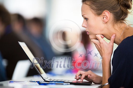 Business woman using laptop computer Business woman using laptop computer