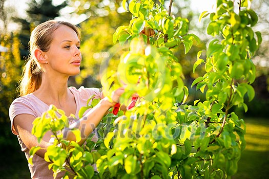 Pretty female gardener taking care of her lovely garden on a spring day - cutting branches, double digging/loosening the soil with a spade