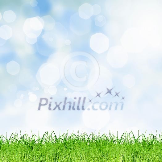 Background bokeh image. Summer and vacation concept