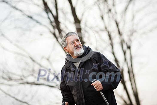 Senior man nordic walking, enjoying the outdoors, the fresh air, getting the necessary exercise Senior man nordic walking, enjoying the outdoors, the fresh air, getting the necessary exercise