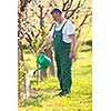 portrait of a senior gardener in his garden/orchard (color toned image)