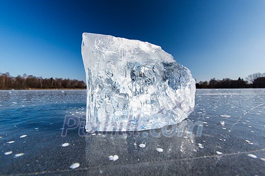 Freezing winter temperatures: block of ice lying on the surface of a frozen pond on a sunny winter day