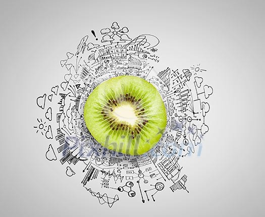 Kiwi half against background with business sketches Kiwi half against background with business sketches