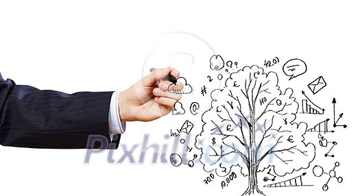 Close up of businessman hand drawing tree Close up of businessman hand drawing tree