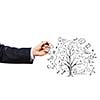 Close up of businessman hand drawing tree