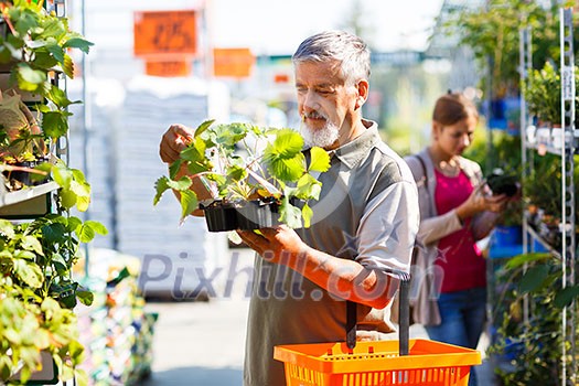 Senior man buying strawberry plants in a gardening centre