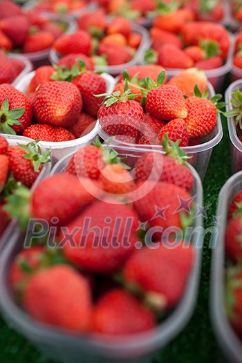 farmers market series - fresh strawberries