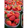 farmers market series - fresh strawberries