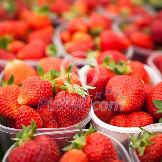 farmers market series - fresh strawberries