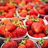 farmers market series - fresh strawberries