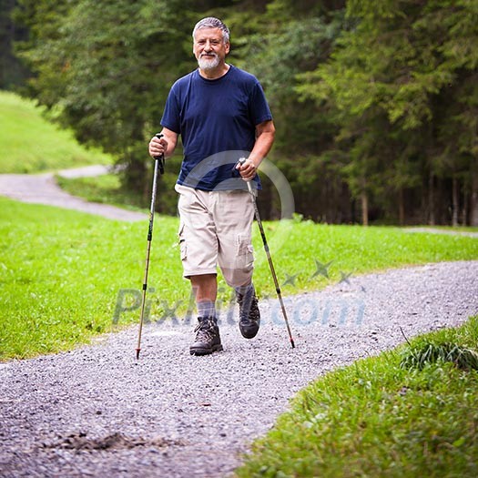 active handsome senior man nordic walking outdoors on a forest path, enjoying his retirement