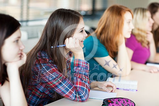 young pretty female college student sitting in a classroom full of students during class