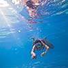 Underwater swimming: young woman swimming underwater in a pool, wearing a diving mask
