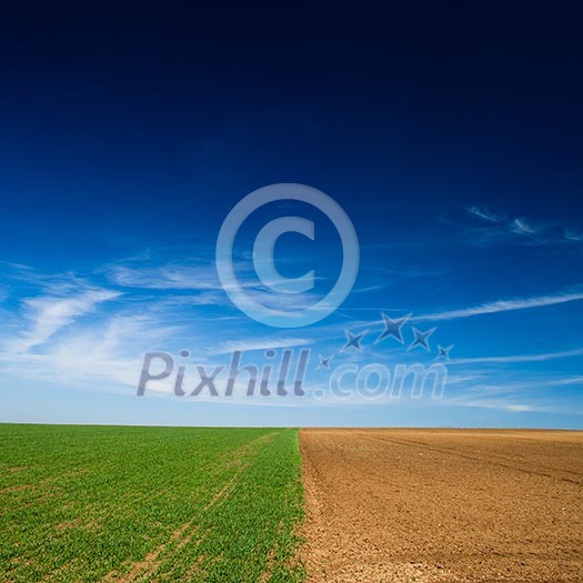 Crop rotation concept: a seeded field and a field lying fallow on a lovely spring day