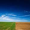 Crop rotation concept: a seeded field and a field lying fallow on a lovely spring day