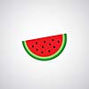 watermelon vector cartoon on gray background  