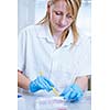 portrait of a female researcher doing research in a lab (color toned image; shallow DOF)