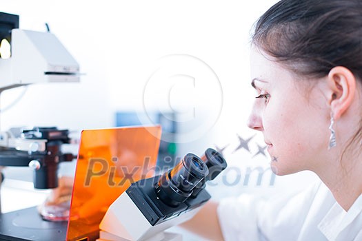 portrait of a female researcher doing research in lab using microscope (color toned image; shallow DOF)