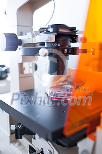 Research - using a modern microscope in a lab (color toned image; shallow DOF) Research - using a modern microscope in a lab (color toned image; shallow DOF)