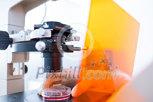Research - using a modern microscope in a lab (color toned image; shallow DOF) Research - using a modern microscope in a lab (color toned image; shallow DOF)