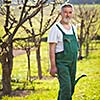 portrait of a senior gardener in his garden/orchard (color toned image)