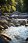 Mountain river in Restonica Valley, Corsica, France, lit by warm morning sunlight