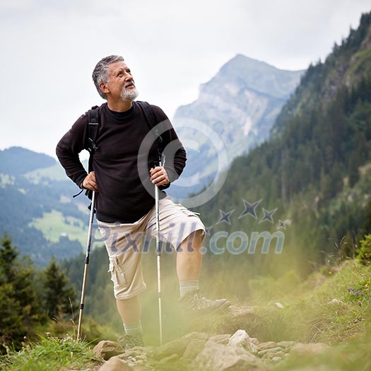 Active senior hiking in high mountains (Swiss Alps)