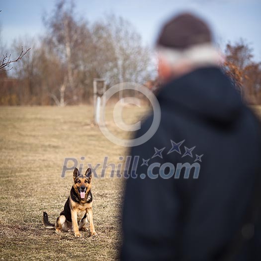Master and his obedient (German Shepherd) dog