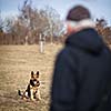 Master and his obedient (German Shepherd) dog