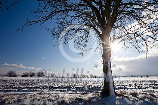 Lovely winter landcape on a sunny winter day
