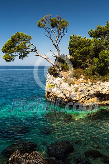 Splendid seacoast of Croatia (Makarska riviera, Brela)