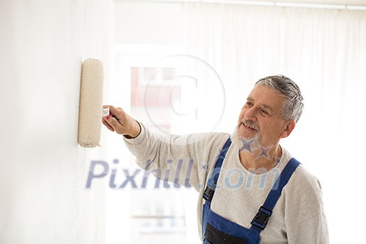 Senior man painting a wall in his home, smiling, enjoying the work