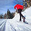 Cross-country skiing: young man cross-country skiing on a lovely sunny winter day (motion blur technique is used to convey movement)