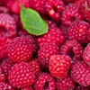 raspberries