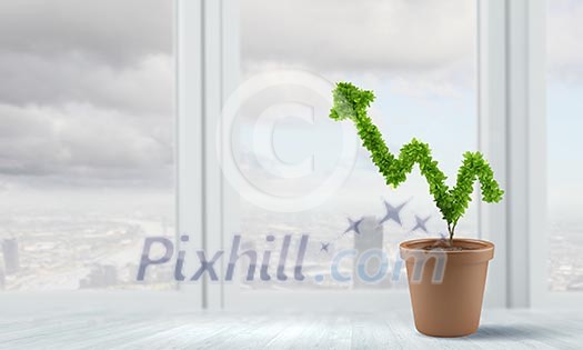 Conceptual image of green plant in pot