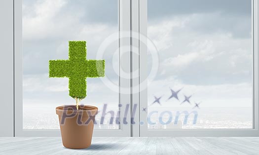 Conceptual image of green plant in pot