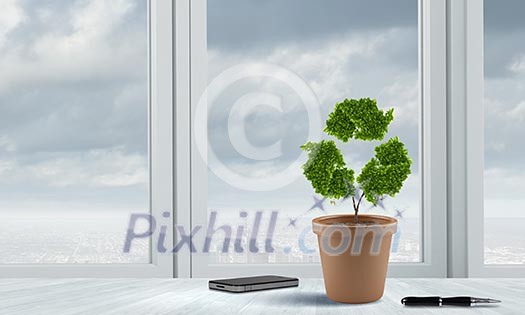 Conceptual image of green plant in pot