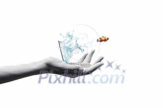 Close up of laptop with fish jumping out from screen Close up of laptop with fish jumping out from screen