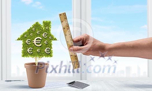 Conceptual image of green plant in pot